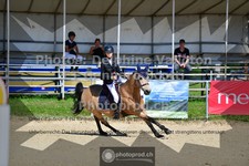 ref. photo 3600314