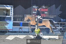 ref. photo 3600317
