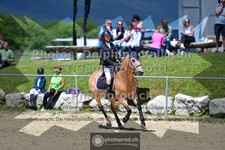 ref. photo 3600323