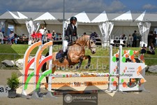 ref. photo 3600324