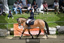 ref. photo 3600348