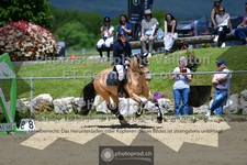 ref. photo 3600354