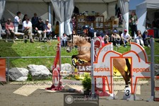 ref. photo 3600356