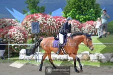 ref. photo 3600433