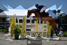 ref. photo 3600435