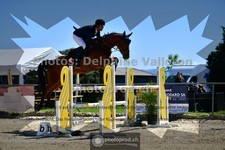 ref. photo 3600445