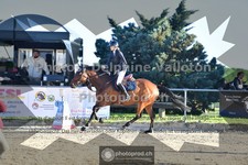 ref. photo 3600471