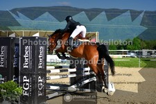 ref. photo 3600522
