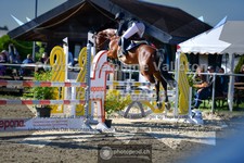ref. photo 3600527