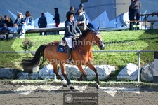 ref. photo 3600529