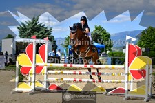 ref. photo 3600534
