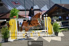 ref. photo 3600546