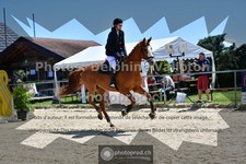ref. photo 3600547
