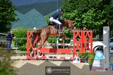 ref. photo 3600552
