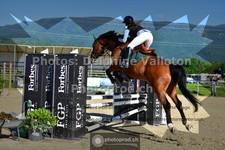 ref. photo 3600611