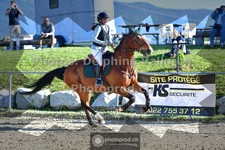 ref. photo 3600618