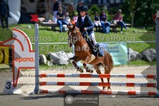 ref. photo 3600630
