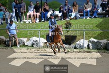 ref. photo 3600633