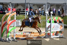 ref. photo 3600634