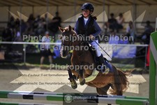 ref. photo 3600650