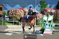 ref. photo 3600660