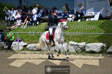 ref. photo 3600704