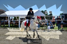 ref. photo 3600711