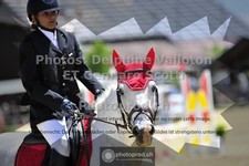 ref. photo 3600718