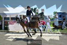 ref. photo 3600729