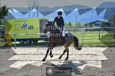 ref. photo 3600737