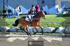 ref. photo 3600752