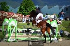 ref. photo 3600756