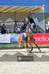 ref. photo 3600761