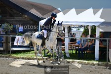 ref. photo 3600841