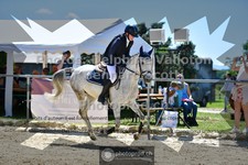 ref. photo 3600842