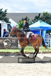 ref. photo 3600860