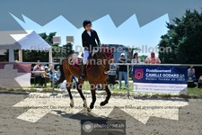 ref. photo 3600870