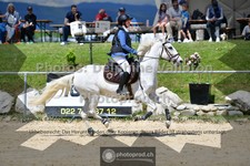 ref. photo 3600948