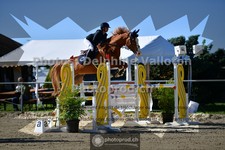 ref. photo 3600989