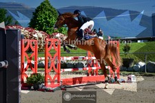 ref. photo 3600993