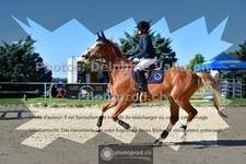 ref. photo 3600994