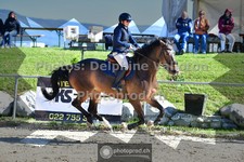 ref. photo 3601010