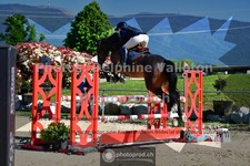 ref. photo 3601013