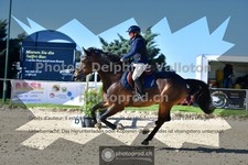 ref. photo 3601015