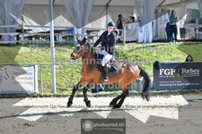 ref. photo 3601022