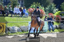 ref. photo 3601027