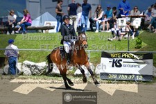 ref. photo 3601033