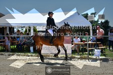 ref. photo 3601039