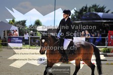 ref. photo 3601046