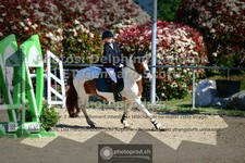 ref. photo 3601052